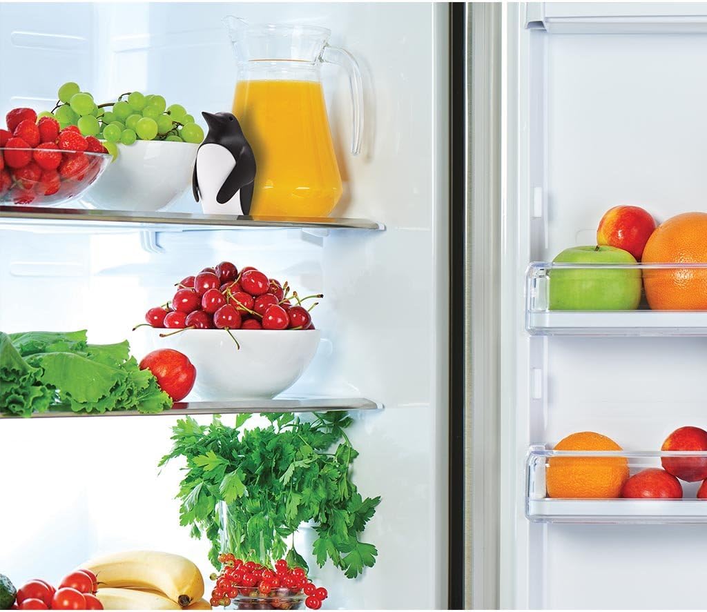 Desodorizador de Refrigerador  - Kitchen Gadgets Holder avaliação e preço